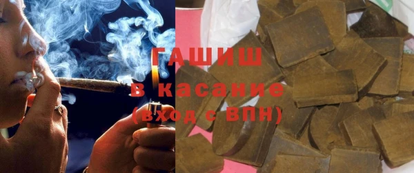 шишки Белокуриха