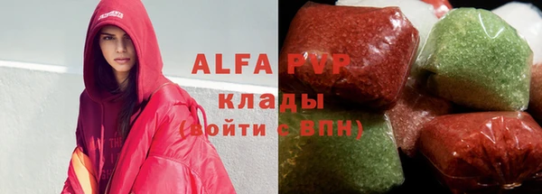 шишки Белокуриха