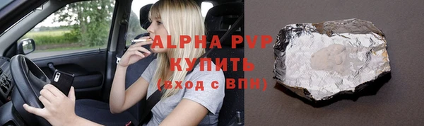 шишки Белокуриха