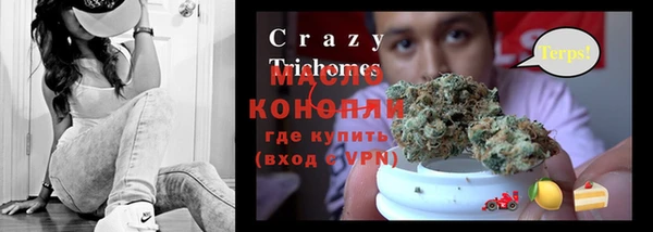 шишки Белокуриха