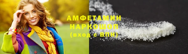 шишки Белокуриха