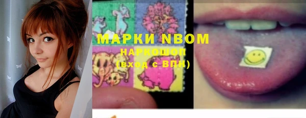 шишки Белокуриха