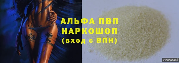 шишки Белокуриха