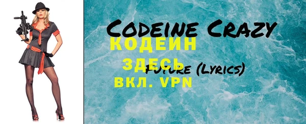 шишки Белокуриха