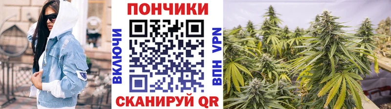 купить   Бугульма  Канабис MAZAR 
